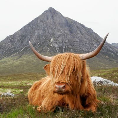 Lezing in 2 delen: Schotland 