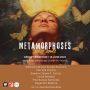 Meet the Artists - Metamorphoses