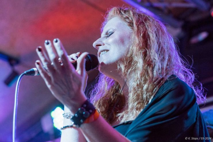 Fleetwood project - Fleetwood Mac tribute