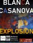 Meet the artist | Explosion by Blanca Casanova