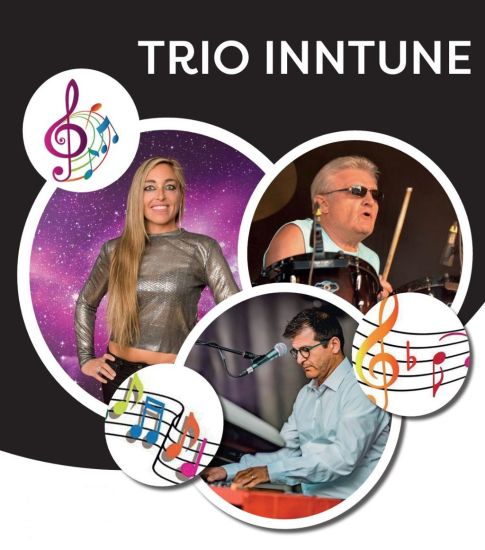 Matineedansen live orkest Trio Inntune