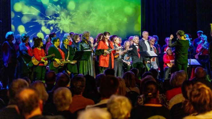 Meezingconcert door Ameezing