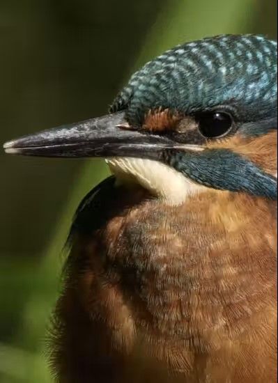 Film: Kleine Dommel, Levensader voor Oost-Brabant