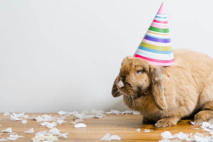 Poppentheater Benk Janssen – Flappie is jarig