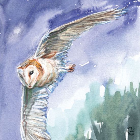 Meet the Artist / UnderGrowth